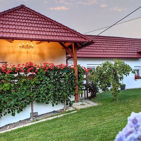 Strigova Holiday Home Rojko מראה חיצוני תמונה